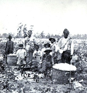 field-slaves